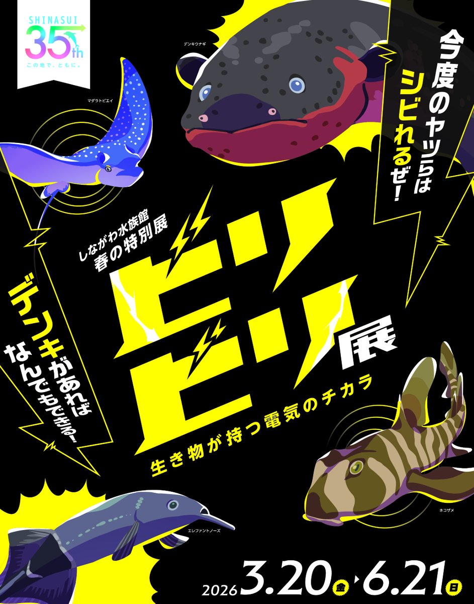 思ったよりバチバチする生き物多いのね