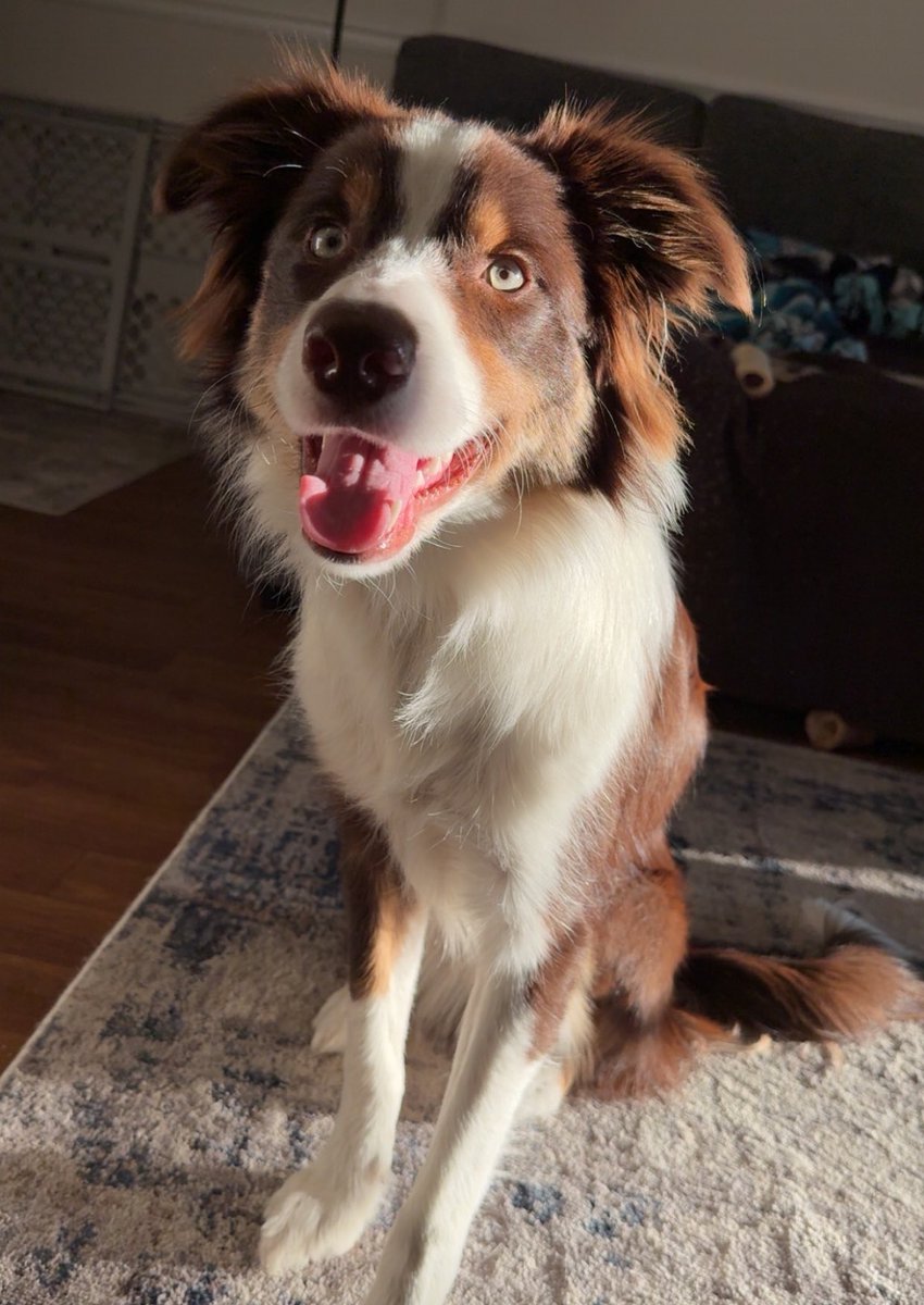 𝐉𝐞𝐬𝐬𝐢𝐞 🌊 tweet media