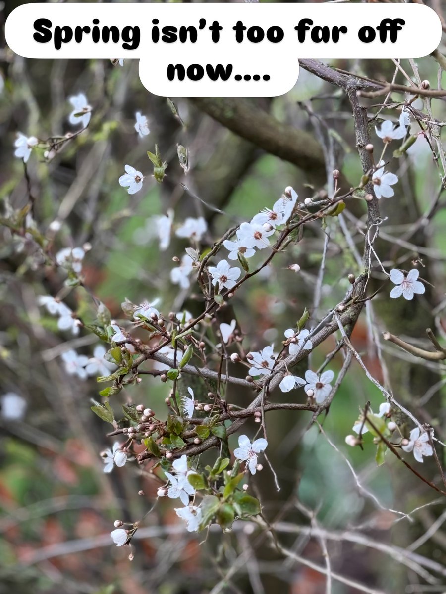 Seagate Nurseries tweet media