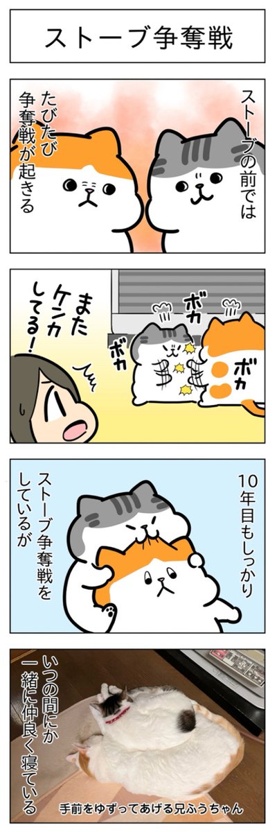 一緒にお昼寝・ストーブ争奪戦│フェリシモ猫部 https://t.co/JTNiXJhjG4 