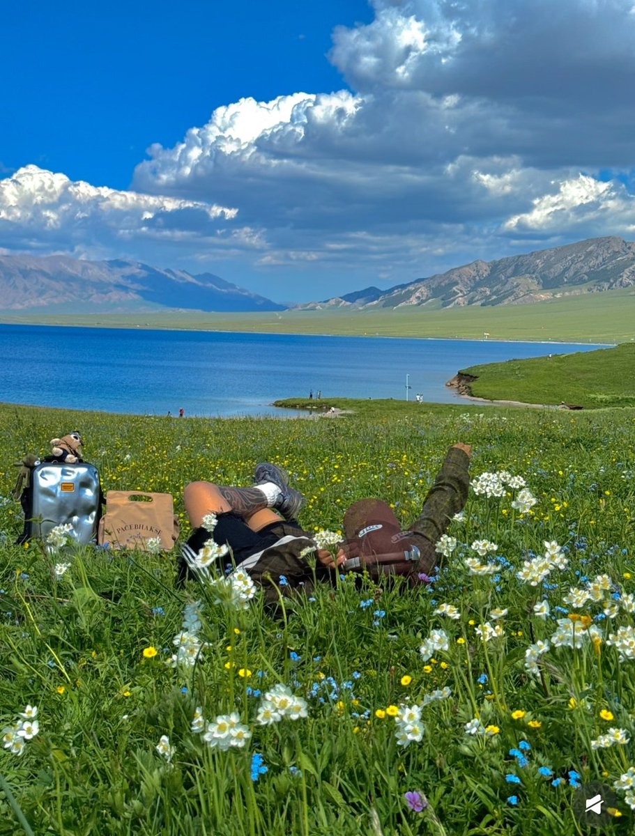 xinyu(互fo) tweet media