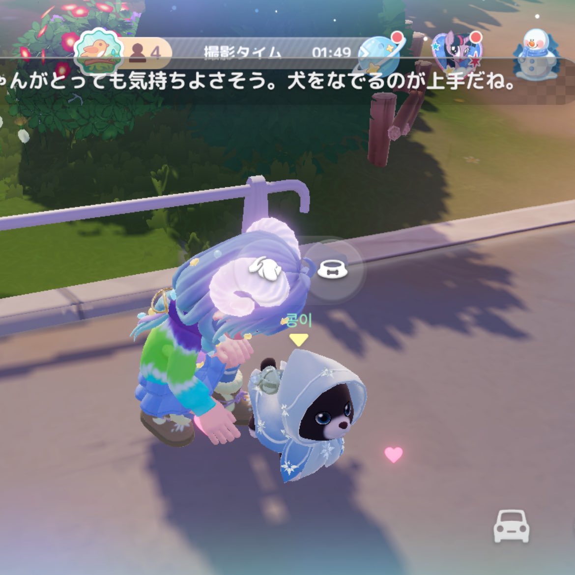 どこかの家のイッヌが道路上にいた イッヌって迷い犬になるんか？w