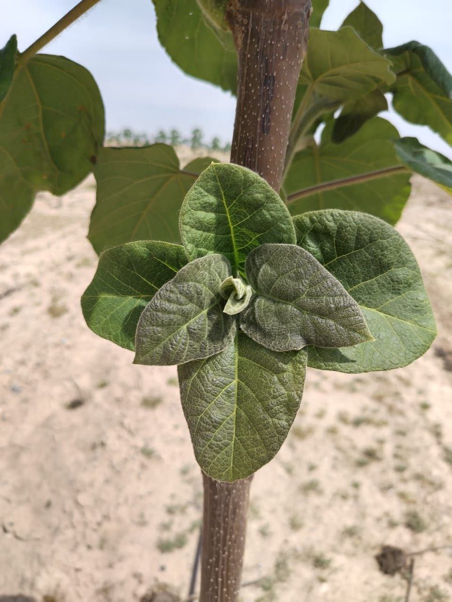 Web3Eco 🌳 tweet media