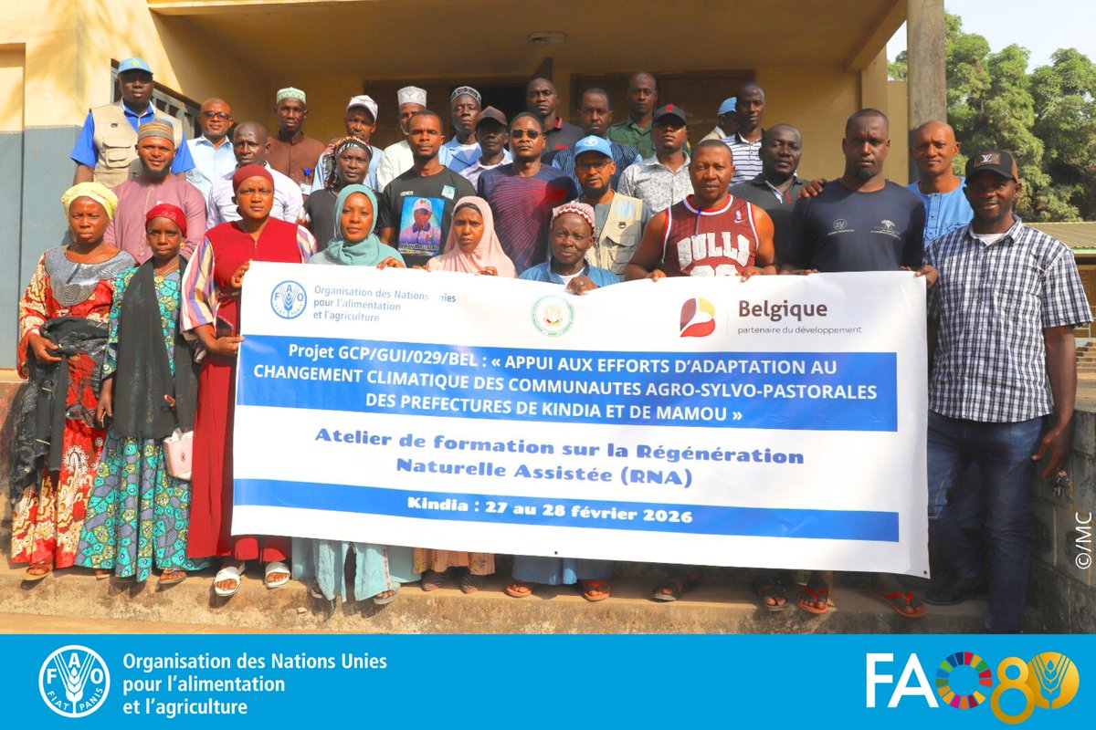 FAO Guinée tweet media