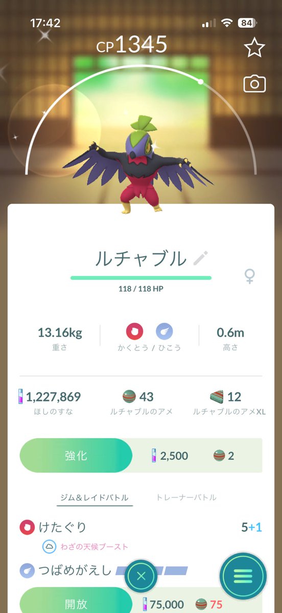 エリカ tweet media