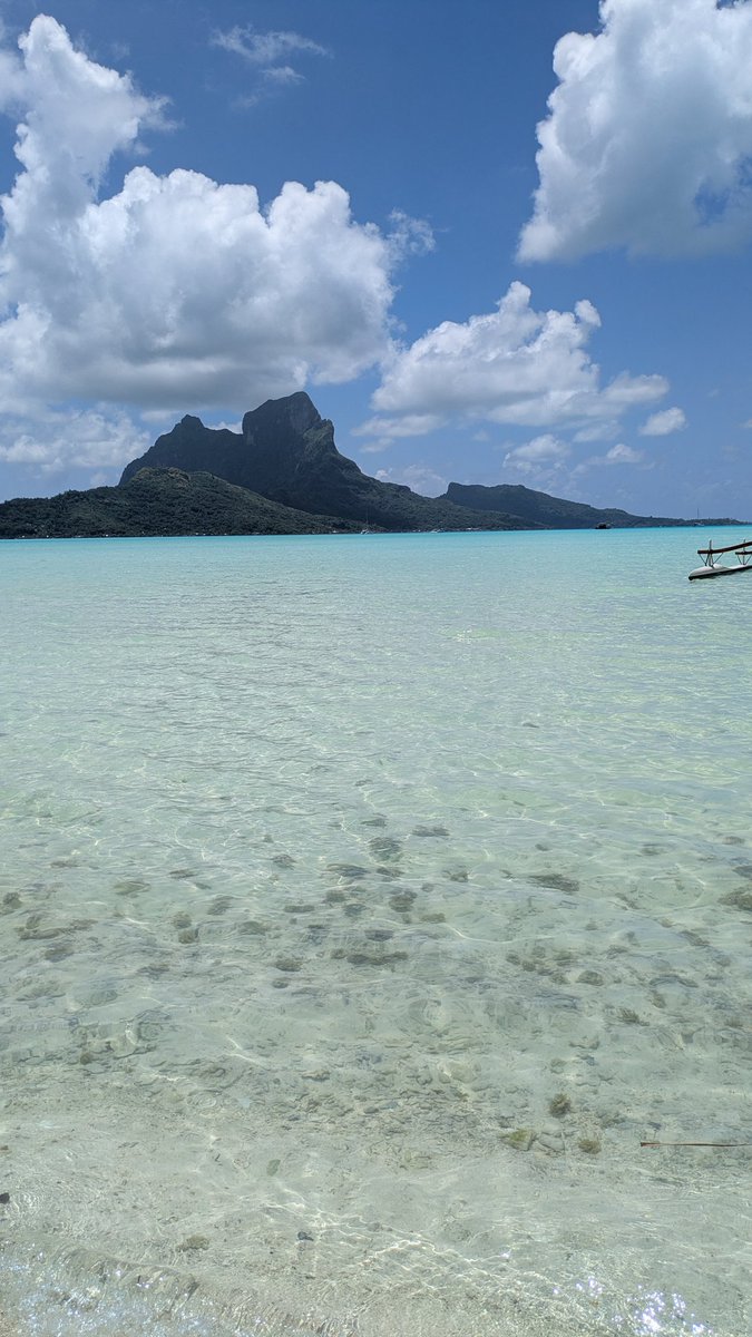 タヒチ🇵🇫ボラボラ島ラグーンツアー④】 3カ所でのシュノーケルを終え