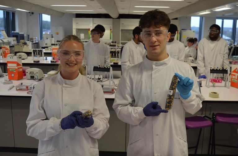 University of Staffordshire Biomedical Science tweet media