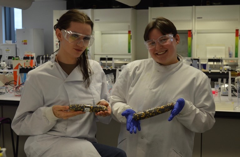 University of Staffordshire Biomedical Science tweet media