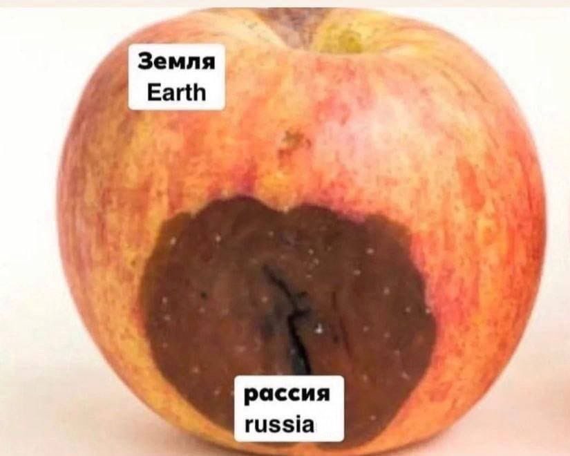 Huntainer tweet media