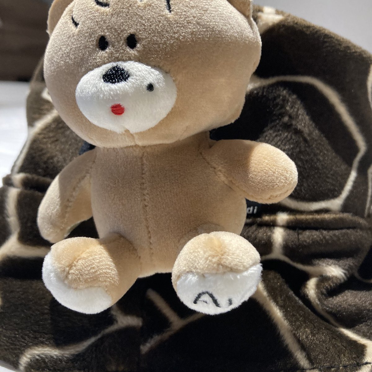 🐻ゲット