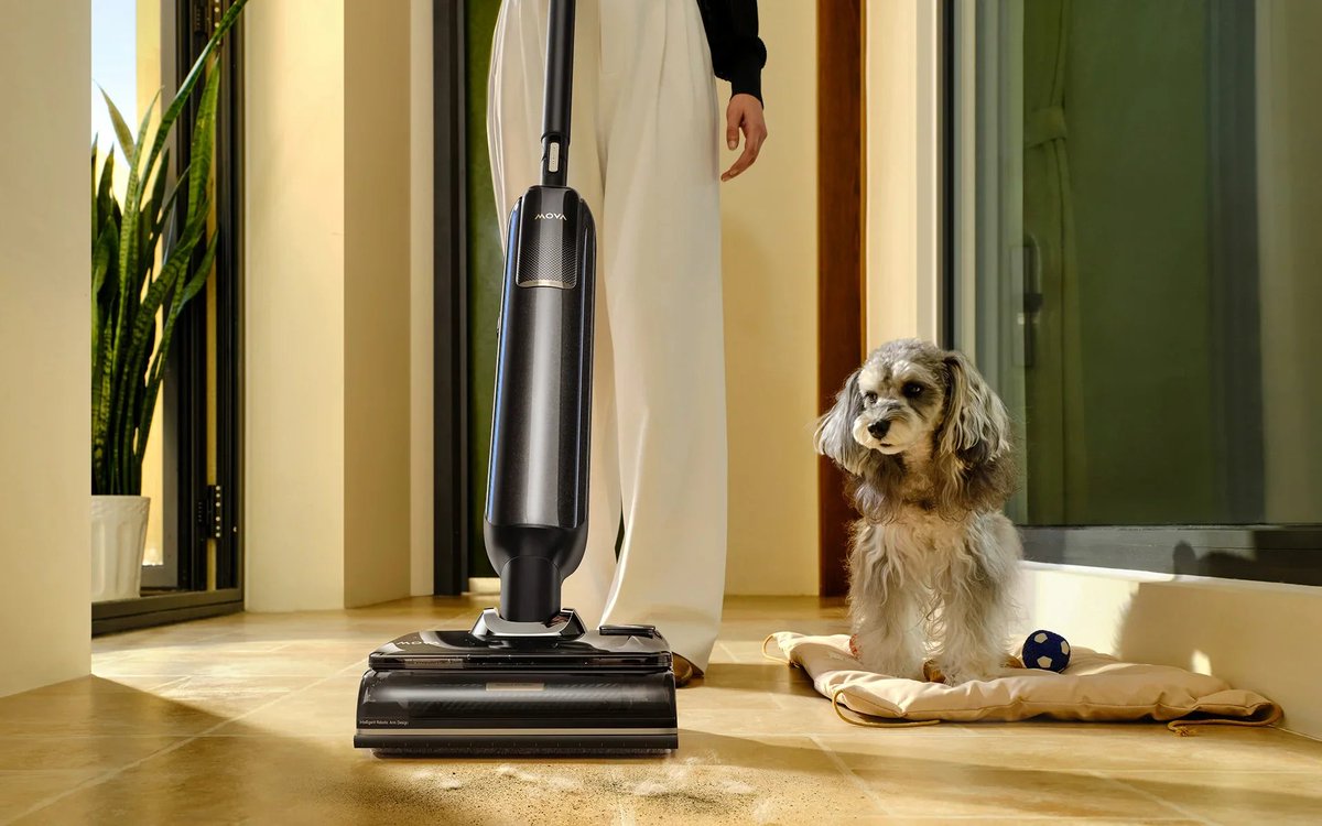 Swing-Feminin.com tweet media