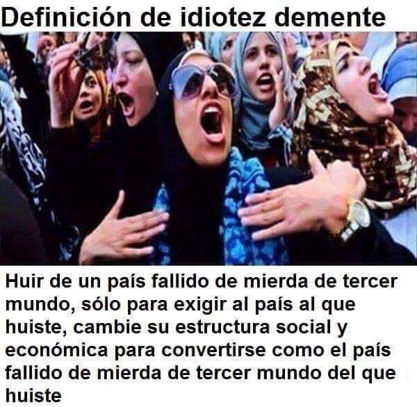 LA ESTUPIDEZ ENGREÍDA y LA IDIOTEZ DEMENTE...