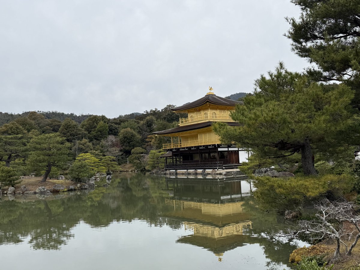heart_pg_'s tweet photo. 金閣寺、安土城跡、彦根城
（ミスったのであげ直し） https://t.co/NT1GtiyRx9