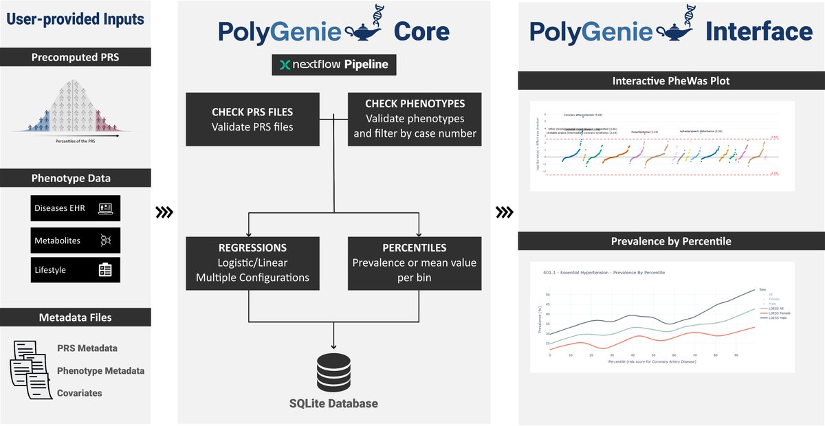 iamxavifar's tweet photo. New preprint! Introducing PolyGenie, an open-source Nextflow pipeline for phenome-wide association studies (PheWAS) using polygenic risk scores (PRS). Run it on any cohort! 🧵 @GCATcohort @INB_Official 

preprint 👉 https://t.co/WtSOtSZihL
code 👉 https://t.co/cWG4ud1Kr2 https://t.co/YwlcBqezUD