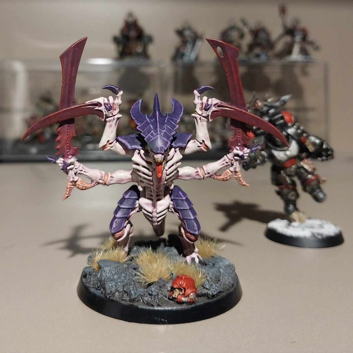 Intuplat 147 tweet media