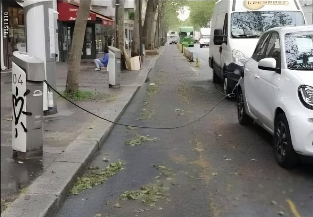 Connie 🐈‍⬛❣️ tweet media