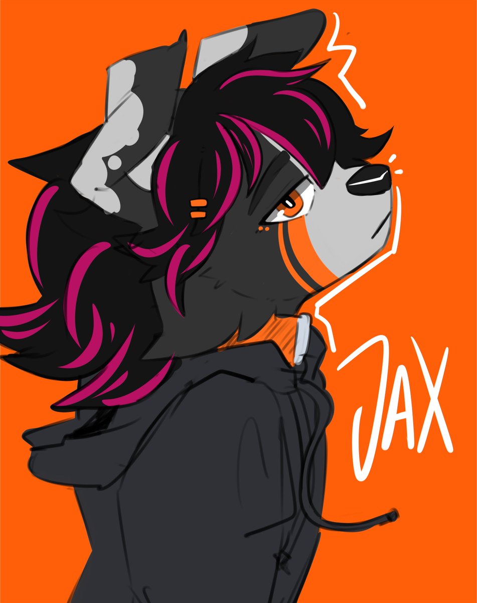 Jax Collie tweet media