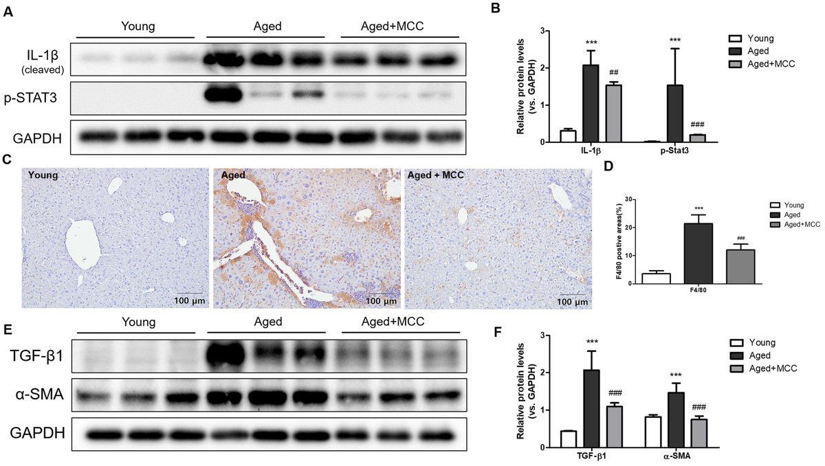 Frontiers in Bioscience-Landmark tweet media