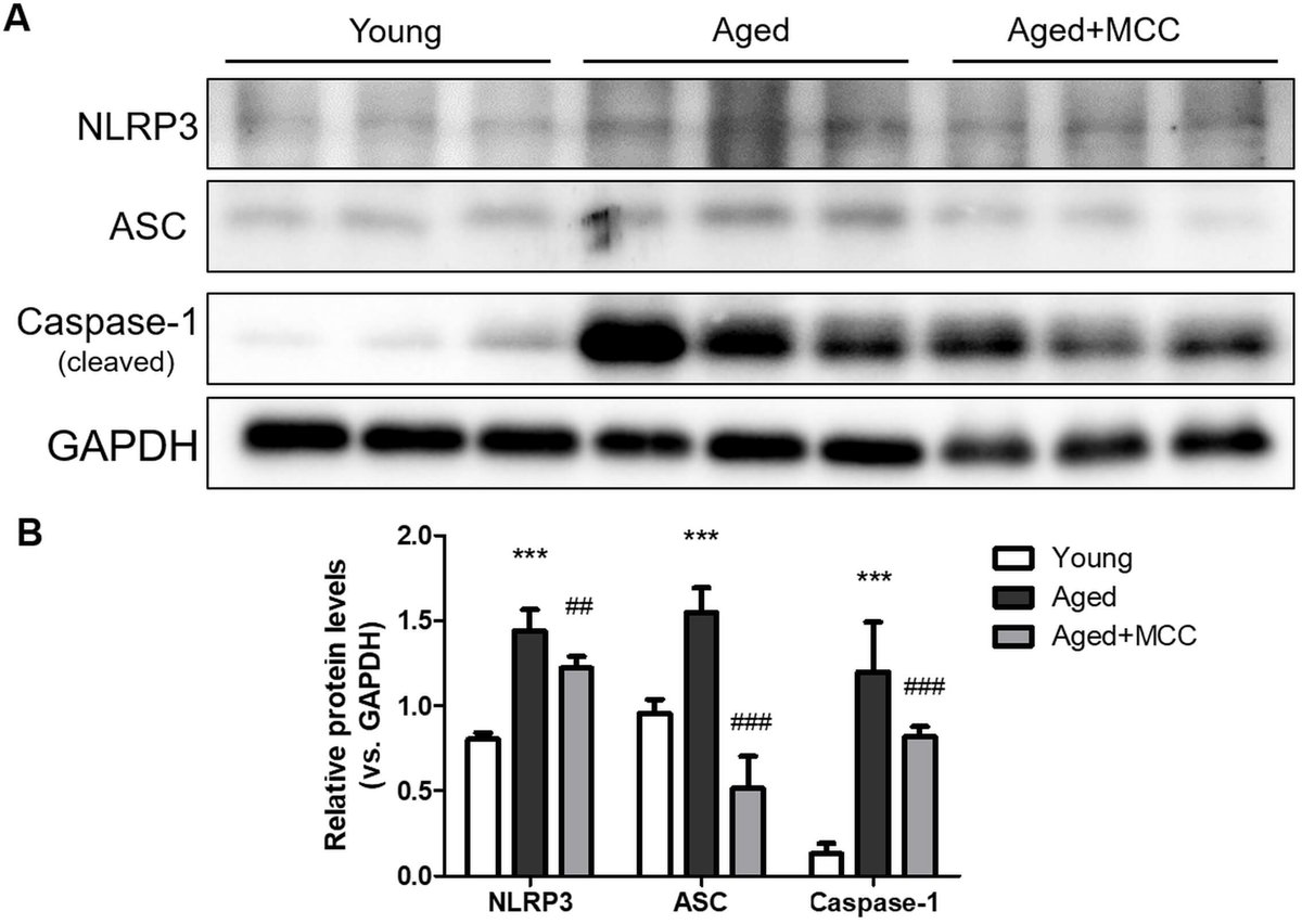 Frontiers in Bioscience-Landmark tweet media