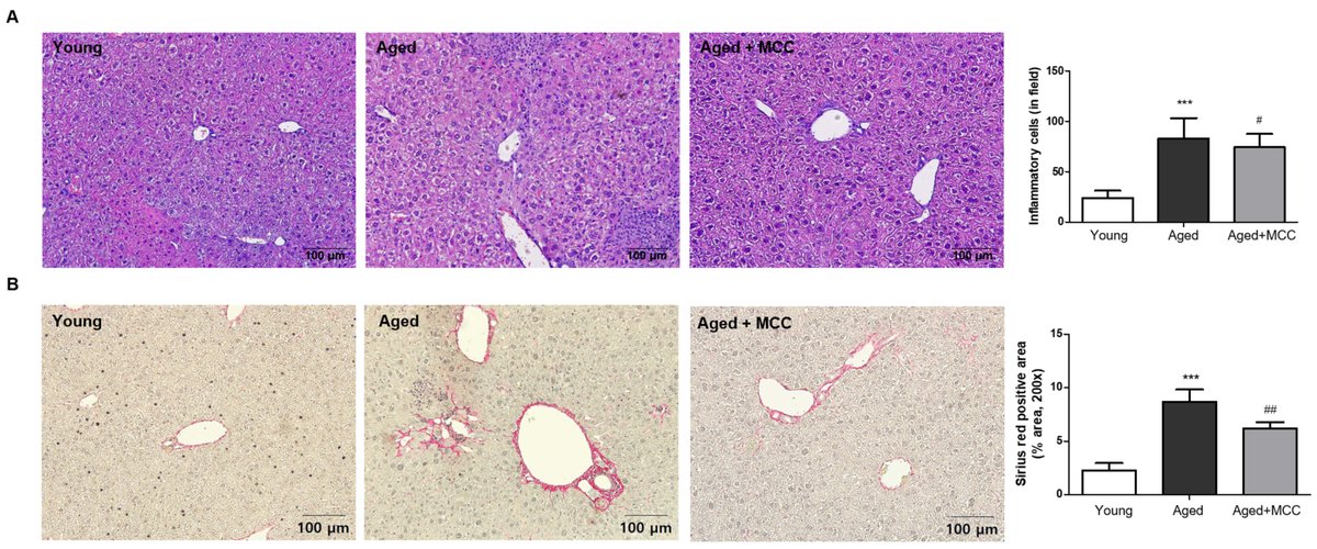 Frontiers in Bioscience-Landmark tweet media