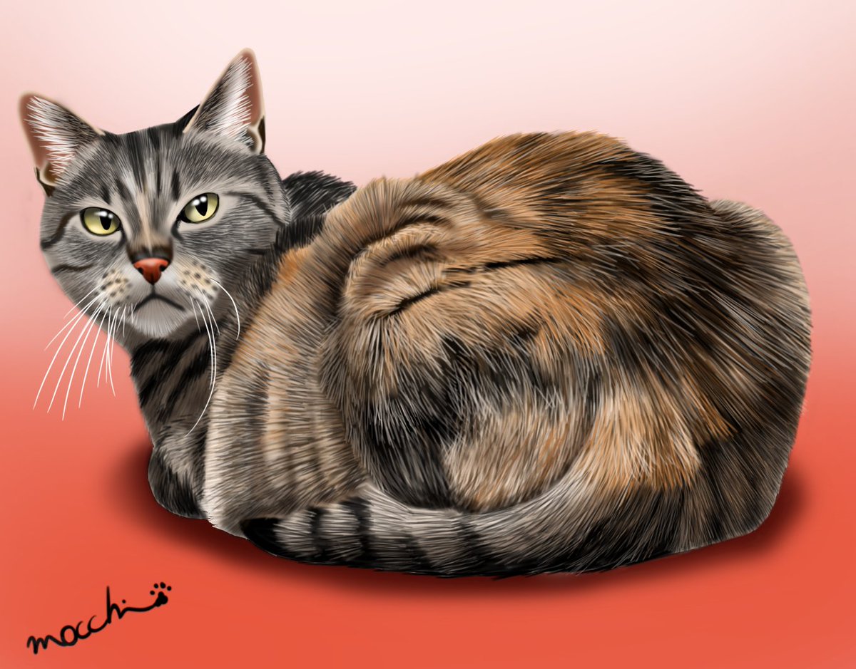 もっち（mocchi） (@mocchimocchi09) / Posts / X