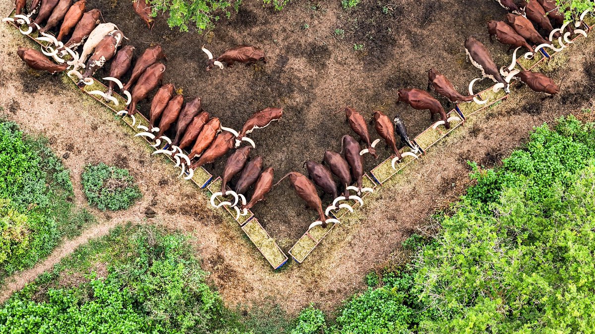 NRM Party tweet media