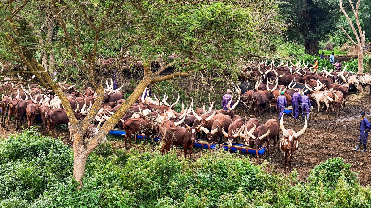 NRM Party tweet media