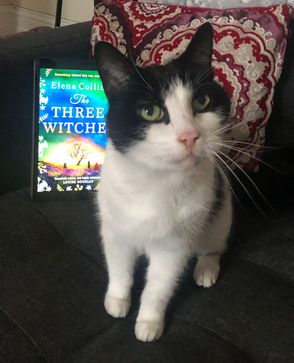 Judy Leigh tweet media