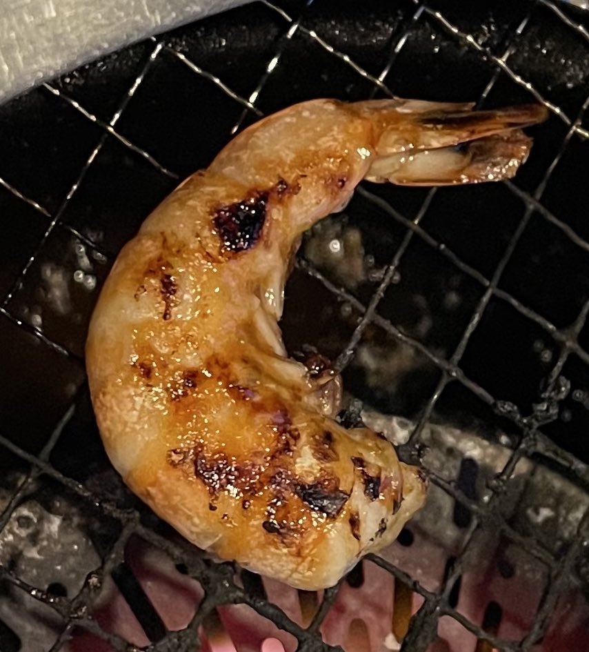 エビさん……ですから……