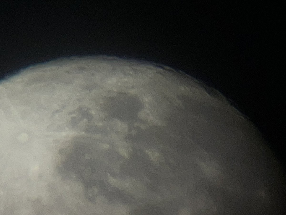 aShadowo tweet media