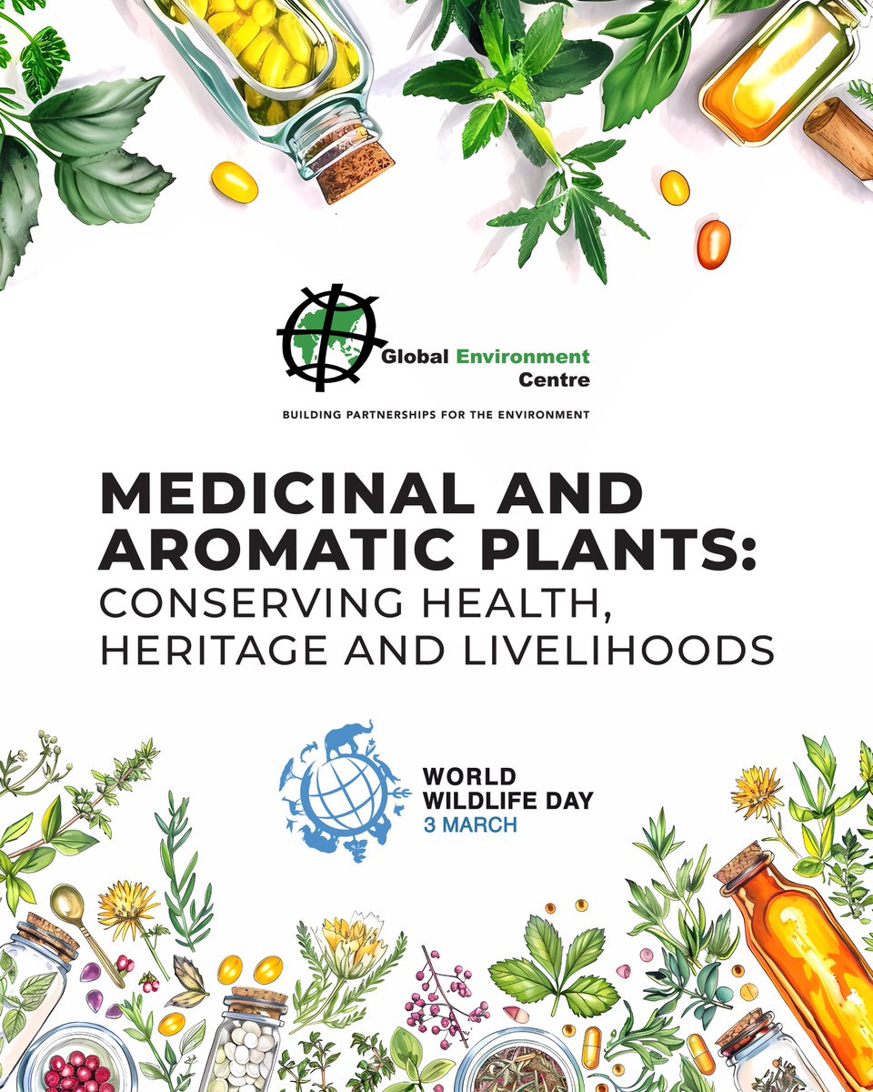 Global Environment Centre tweet media