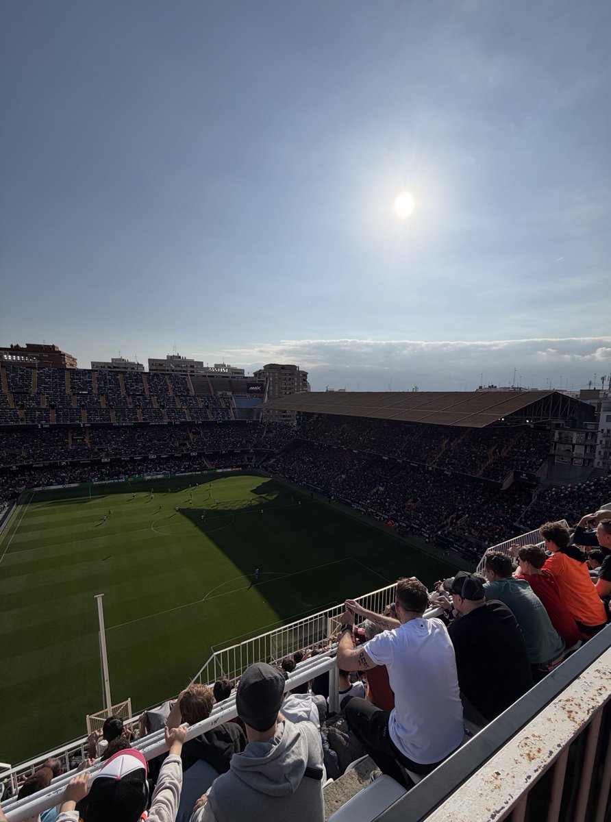 Dills 🇺🇸🌎🏐 tweet media