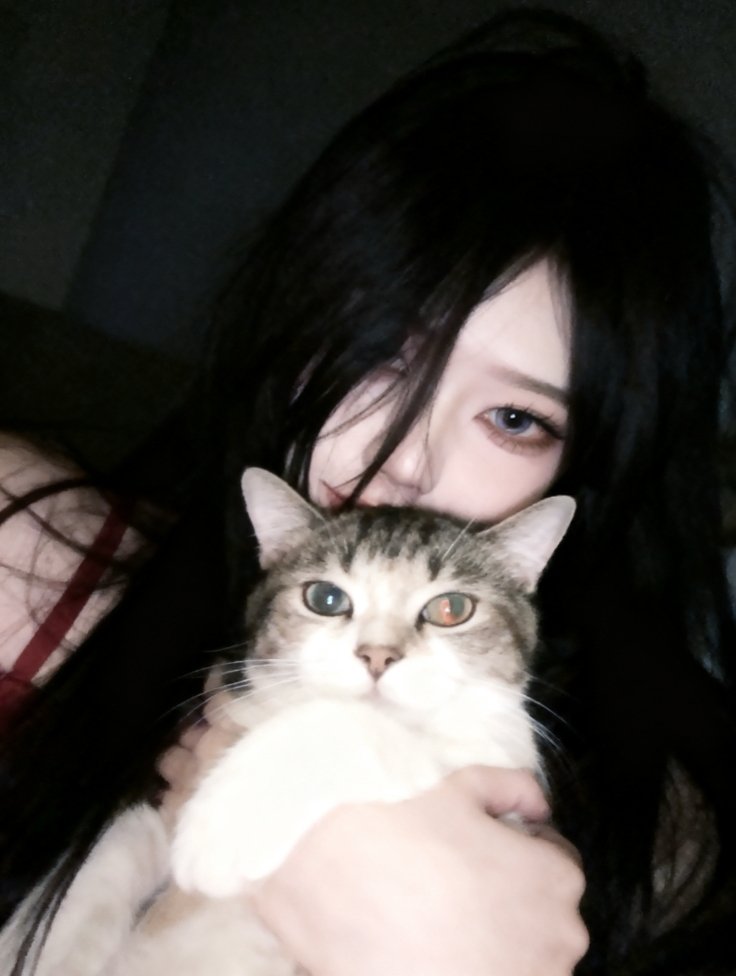 桃子 tweet media