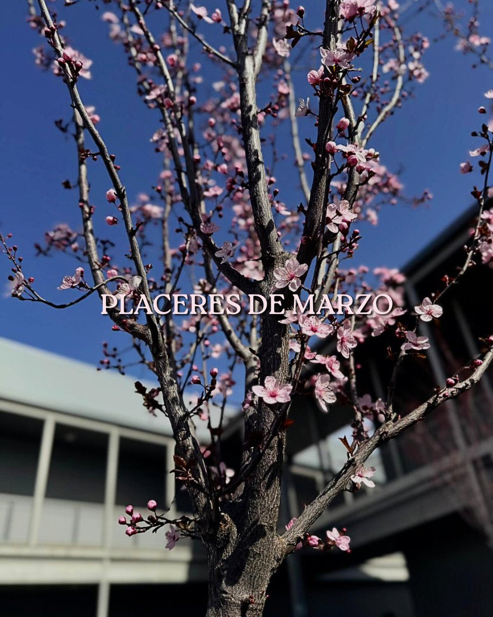 factoriasindmad's tweet photo. Primer lunes de marzo. 🗓️

Porque no hay nada como un café al sol para que las mejores ideas terminen de florecer. 

¡Feliz inicio de mes a todos nuestros residentes y colaboradores!

#emprendimiento  #madridindustrial #factoriaindustrial #networking #productividad  #Marzo2026 https://t.co/G5pEZlvMPg