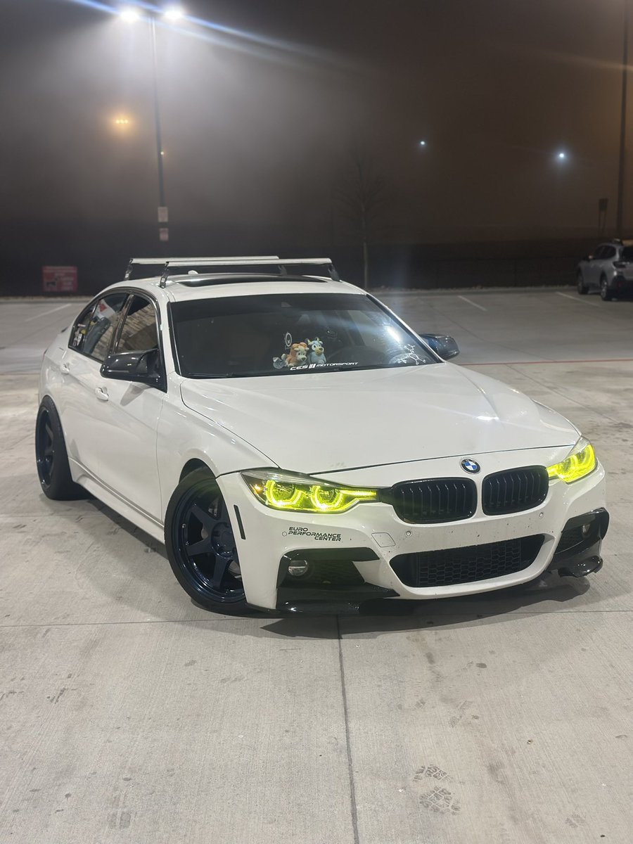 ✨🐾Scribby🐾✨ tweet media