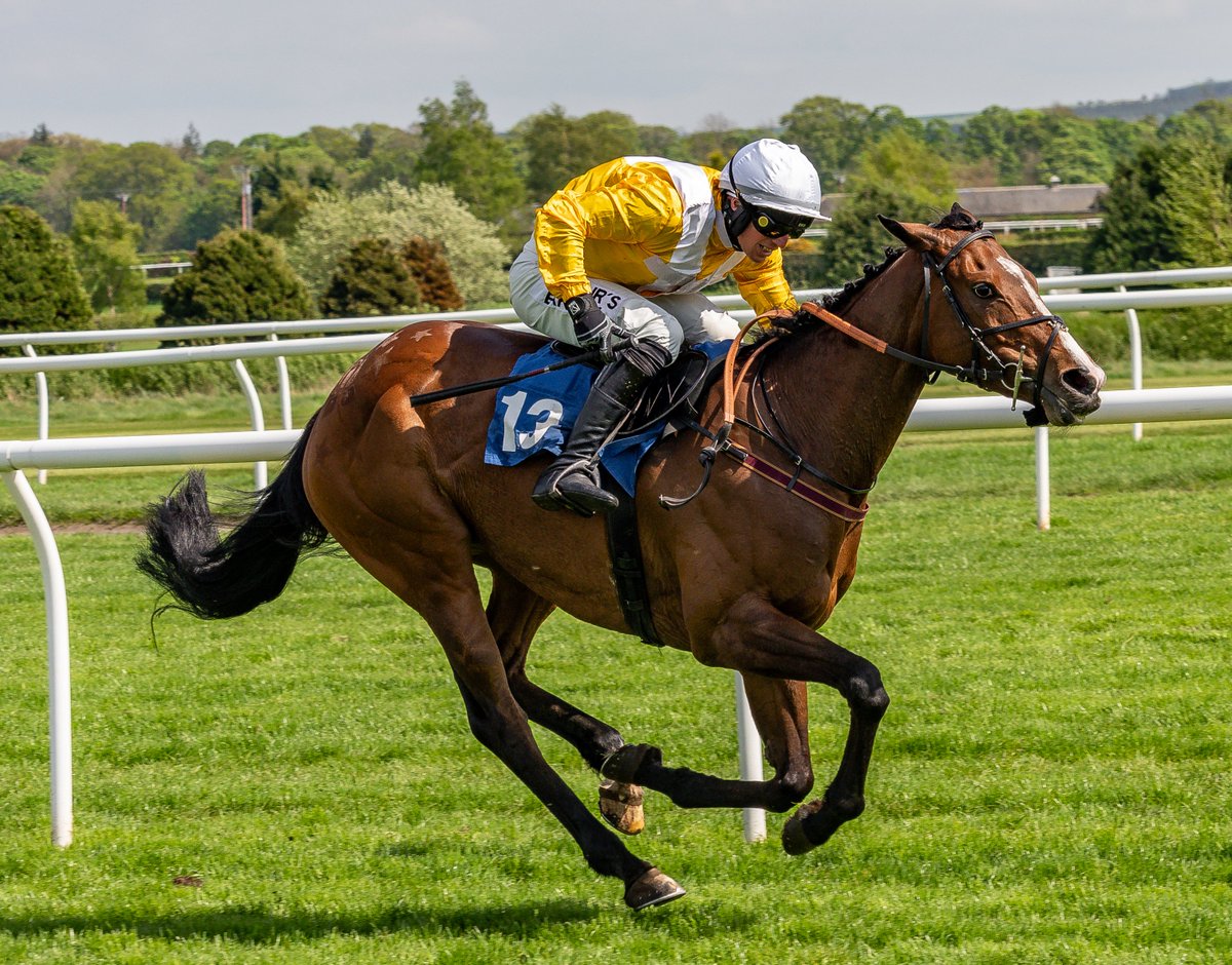 Old Gold Racing tweet media