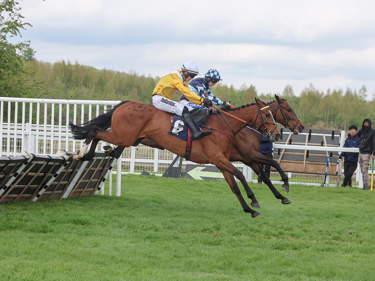 Old Gold Racing tweet media