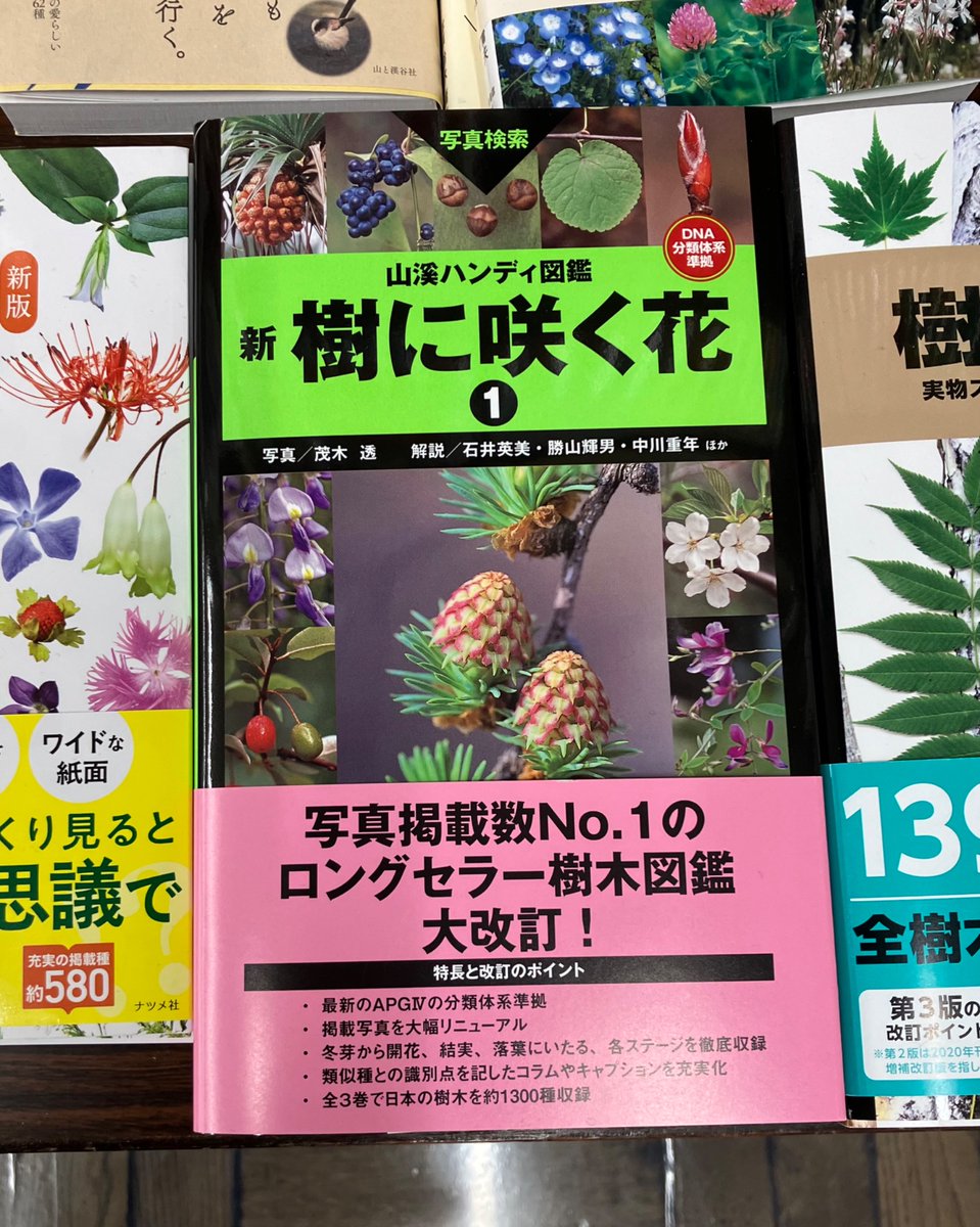 4階］「山溪ハンディ図鑑 新 樹に咲く花1」山と渓谷社￥6,820 2000年