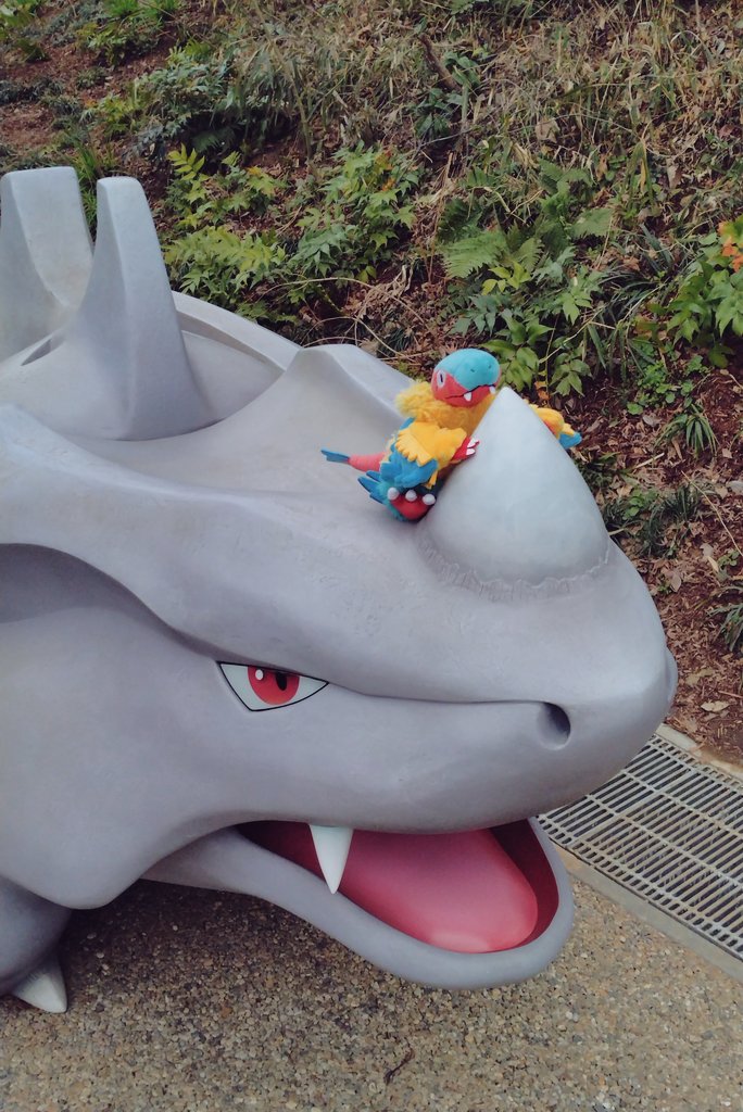 ume_q86's tweet photo. ポケモンって生きてるのかも https://t.co/diAOtwbEIq