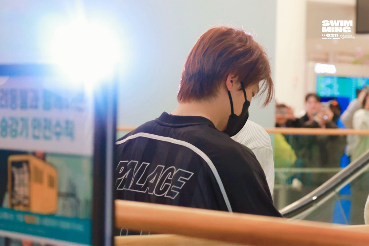 SWIMMING🦦 tweet media