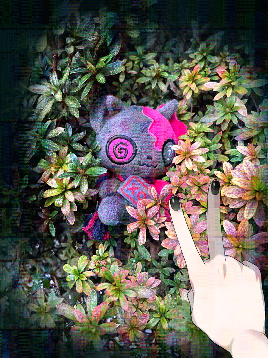 ほし (@HOSHIBACKYARD) / Highlights / X