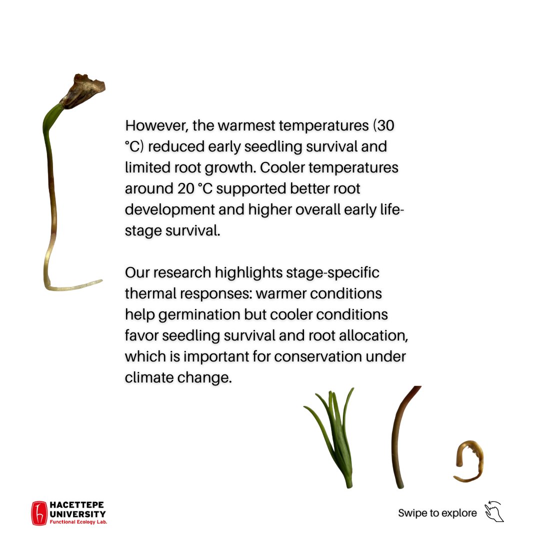 Functional Ecology Lab. tweet media