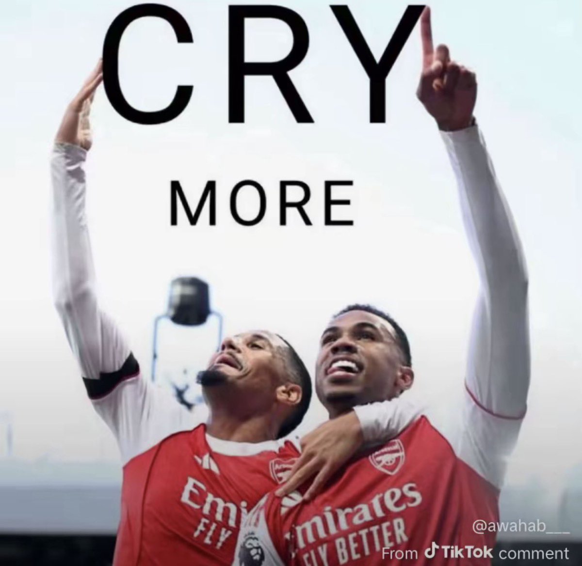 ToryFPL's tweet photo. @HellrzrFPL @ONE_AMN https://t.co/tv4HVbqubo