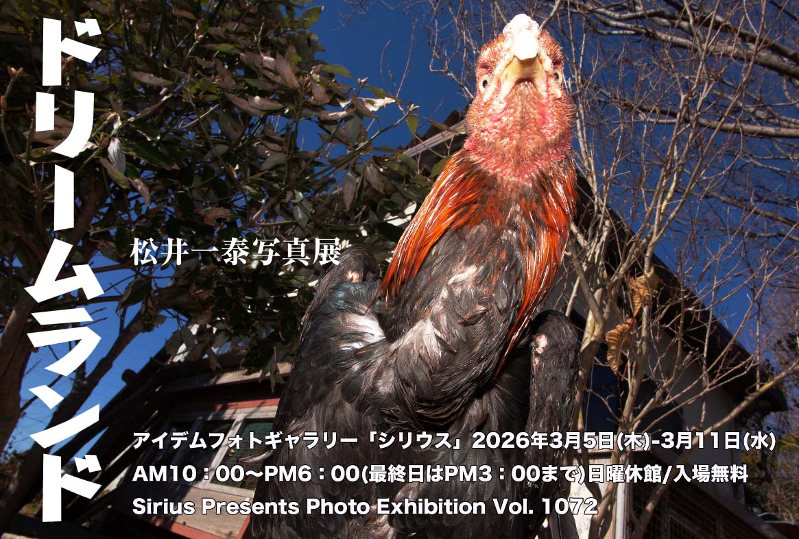 本校卒業生、松井一泰さんの写真展「ドリームランド」がアイデムフォトギャラリーシリウス（東京・新宿御苑前）にて開催されます。ぜひ、お出かけください。
会期：2026年3月5日（木）～3月11日（水）【日曜休館】
時間：10-18時【最終日15時まで】
所在地：東京都新宿区新宿1-4-10 アイデム本社ビル2F