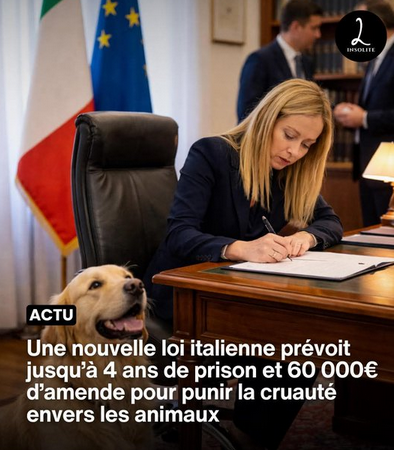 amanda_npo's tweet photo. Vous êtes d'accord pour la France? https://t.co/fgPexJGhoH