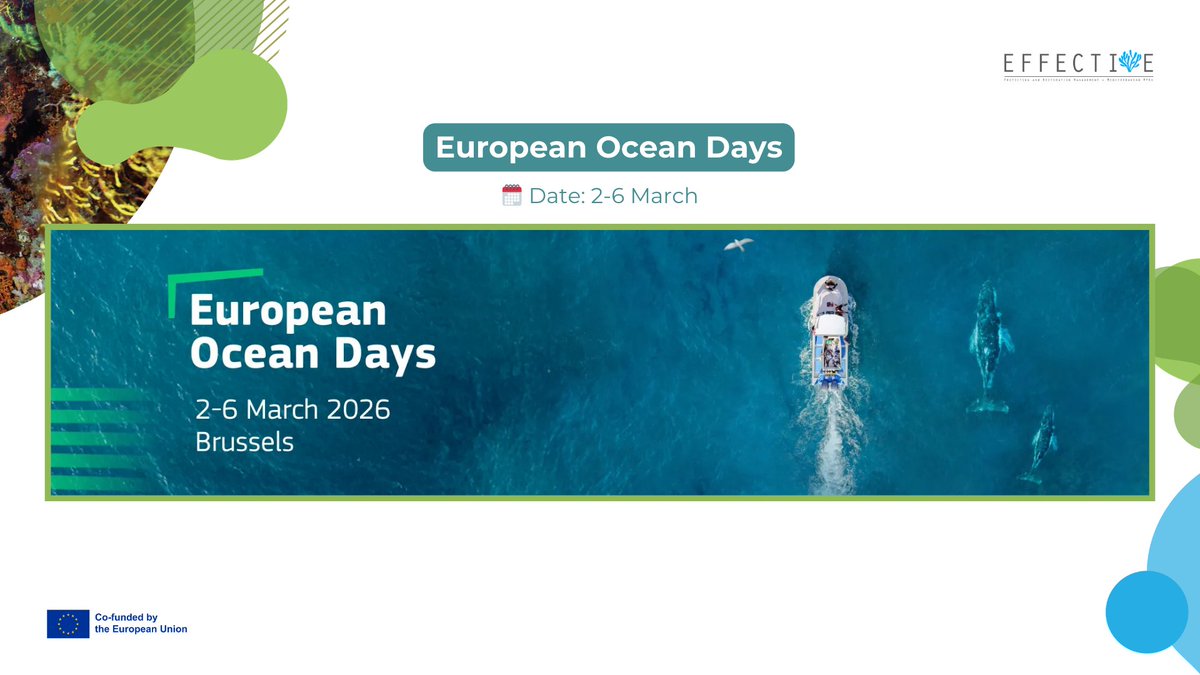 EFFECTIVE-Project tweet media