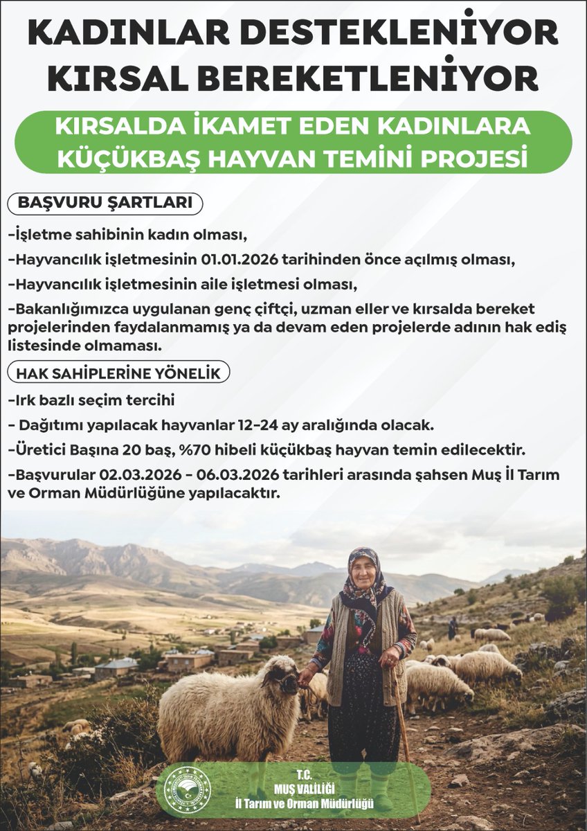 🐑🌾 Kırsalda Bereket Küçükbaşa Destek Projesi Başlıyor! 
Kırsalda üretimi güçlendirmek 💪 ve aile işletmelerini büyütmek 👨‍👩‍👧‍👦 amacıyla hayata geçirilen proje kapsamında kırsalda üretimi desteklemeye devam ediyoruz.
<a href="/TCTarim/">T.C. Tarım ve Orman Bakanlığı</a> <a href="/ibrahimyumakli/">İbrahim Yumaklı</a> <a href="/Ncttngnc/">Necattin GÖNÇ</a> <a href="/tarimormanmus/">Muş İl Tarım ve Orman Müdürlüğü</a> <a href="/haskoykymkmligi/">T. C. Hasköy Kaymakamlığı</a>