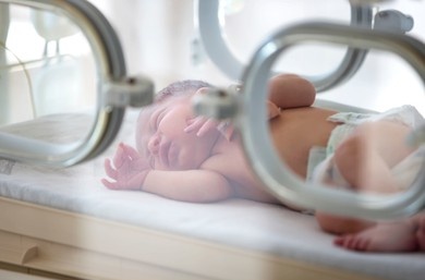 [ 2/3/2026 ]
Bienvenido
𝐏𝐚𝐛𝐥𝐨 𝐒𝐞𝐫𝐫𝐚𝐧𝐨 𝐂𝐚𝐩𝐝𝐞𝐯𝐢𝐥𝐚. 

810 gramos. 32 cm. 

Vas a salir de esta, aunque el pronostico sea malo, se que lucharas con todas tus fuerzas y tu mama y yo lo haremos contigo. 
<a href="/_TeteLSerrano_/">|Parody| Tete Capdevilla Gómez{²⁶w🤰🏻}</a>

~ #FreeRol