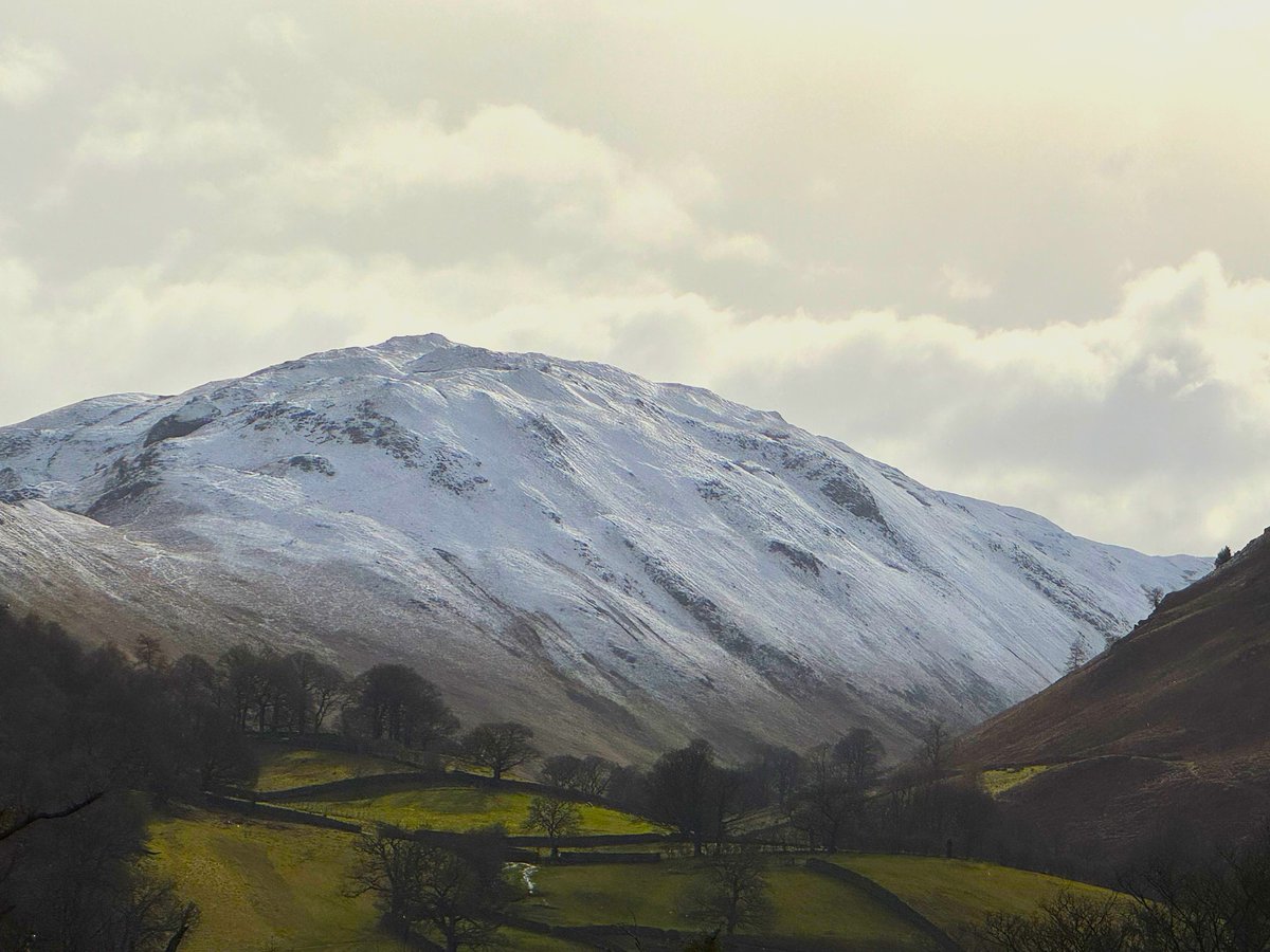 CLA North tweet media