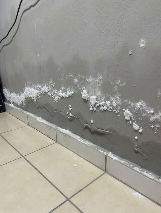 SabzerAzoh's tweet photo. Your home is not walls and tiles it is a living extension of you, and just like your body, it gets sick before you do, sending signs and signals that something needs attention. Mould and moisture are your house whispering “I cannot breathe,”… https://t.co/OwLkUeou1M